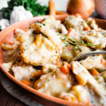 Close up of a bowl of chicken and dumplings